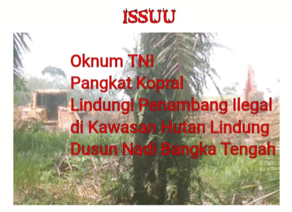 Luar Biasa! Sinaga Oknum TNI Berpangkat Kopral dari Korem Gaya 045,  Kangkangi Nota Kesepahaman Panglima TNI dan Kemenhut RI