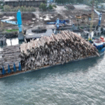 Kementerian Kehutanan