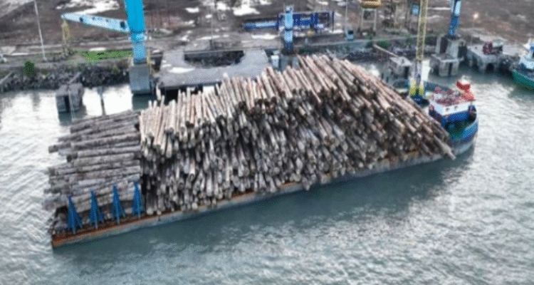 Kementerian Kehutanan